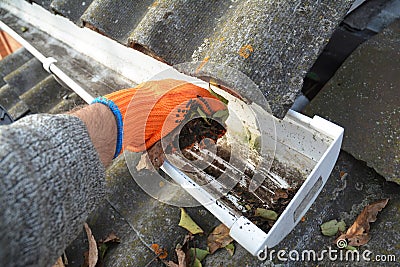 Rain Gutter Cleaning from Leaves in Autumn with hand. Roof Gutter Cleaning Tips. Clean Your Gutters Before They Clean Out Your Wa Stock Photo