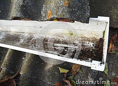 A rain gutter that has been blocked with dirt, debris and leaves is cleaned out to prevent damage to the roof and let the gutters Stock Photo