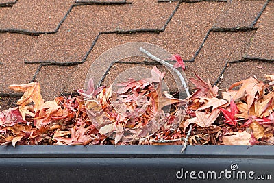 Close up on rain gutter clogged with leaves and debris Stock Photo