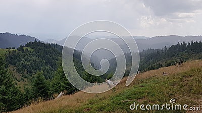 Rain over the Mountain Forest Stock Photo