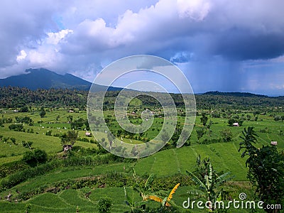 Rain over Rice terraces Stock Photo