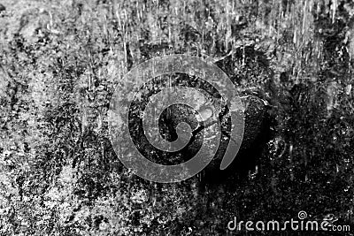Rain pouring on Broken concrete heart on cement floor,broken heart concept,black and white picture Stock Photo