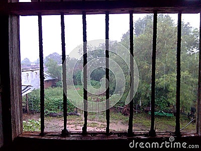 Rain season farm view with plant from jail window Stock Photo