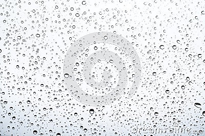 Of rain standing on a glass. water droplets on glass with white background Stock Photo