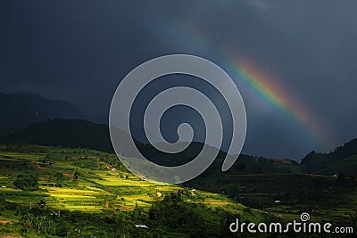 Rainbow above the summer rice-fields Stock Photo