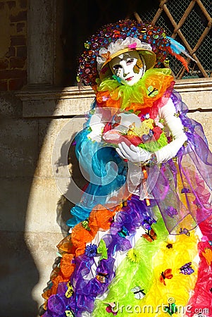 A Rainbow Butterfly Masquerader Stock Photo