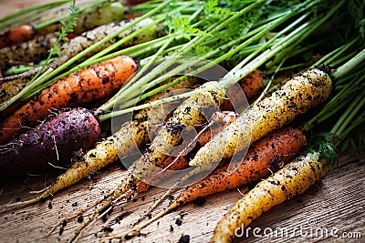 Rainbow carrots Stock Photo