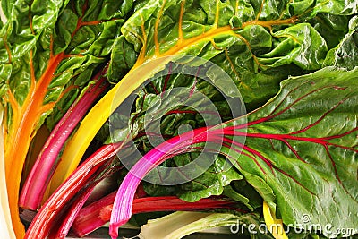 Rainbow chard Stock Photo