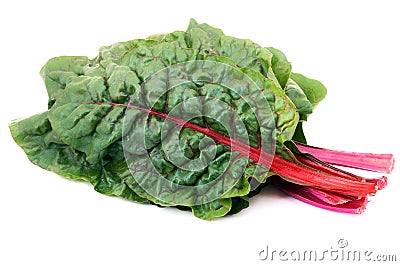 Rainbow chard Stock Photo