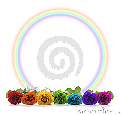 Rainbow coloured roses and rainbow circle border Stock Photo