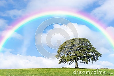 Rainbow Day Stock Photo