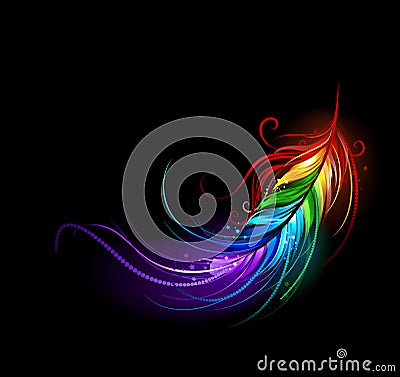 Rainbow feather Vector Illustration