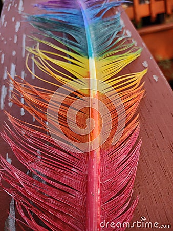 Rainbow feather in detail on deck Stock Photo