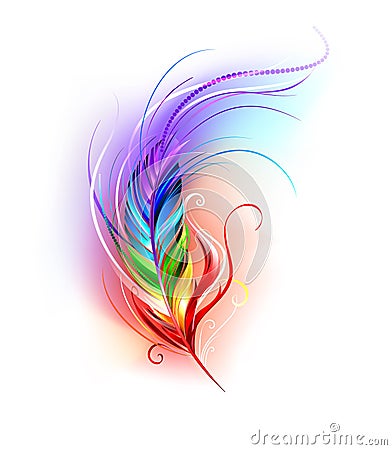 Rainbow feather on white Vector Illustration