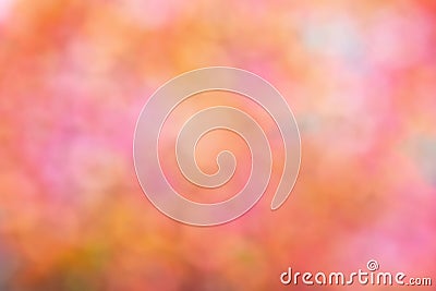 Rainbow festive glitter light abstract blur background Stock Photo