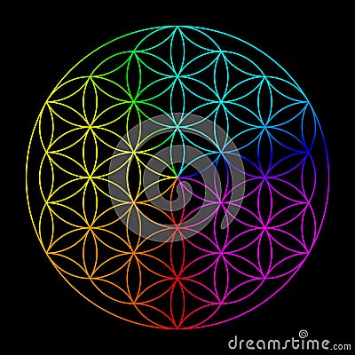 Rainbow flower of life Stock Photo