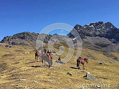 Rainbow Mountain, Cusco Province, Peru, May 11th, 2016: A group Editorial Stock Photo