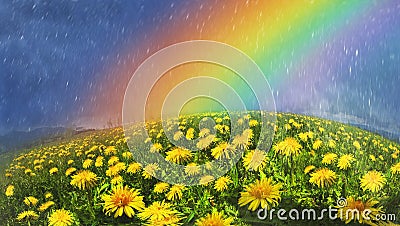 Rainbow over flowers Stock Photo