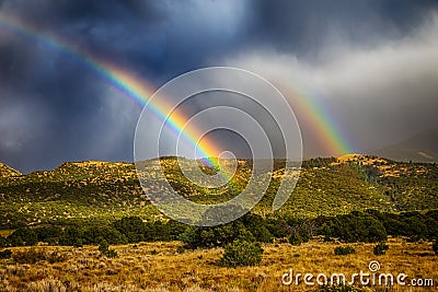 Rainbow over forest Stock Photo