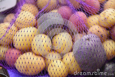 Rainbow potato Stock Photo