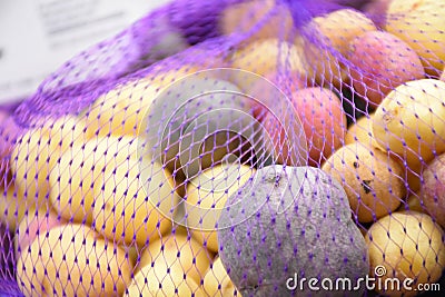 Rainbow potato stock image Stock Photo