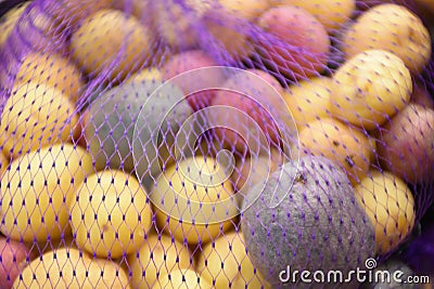 Rainbow potatoe stock photo Stock Photo