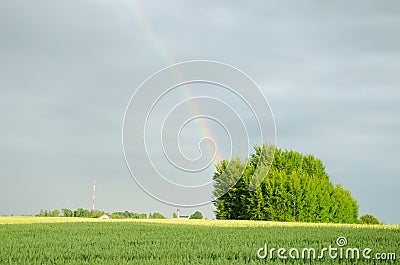 Rainbow after rain over green field in summer Stock Photo