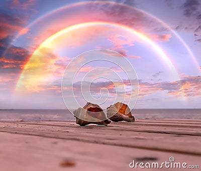 rainbow at sky seashells on wooden pier at sunset at beach dramatic cloudy sky nature landscape background Stock Photo