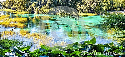 Rainbow Springs State Park Panorama Stock Photo