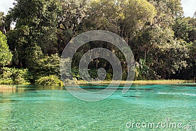 Rainbow Springs State Park Stock Photo