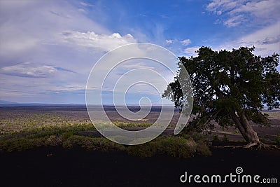 Rainbow at the summit tree Craters of the moon national monument and preserve Stock Photo