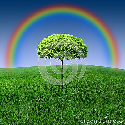 Rainbow tree Stock Photo