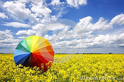 Rainbow umbrella Stock Photo