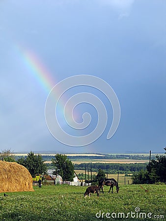 The rainbow in village Freedom. Stock Photo