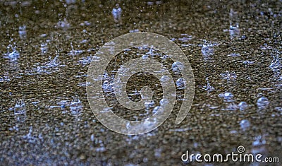 Raindrops bouncing in a puddle during a heavy shower. Stock Photo