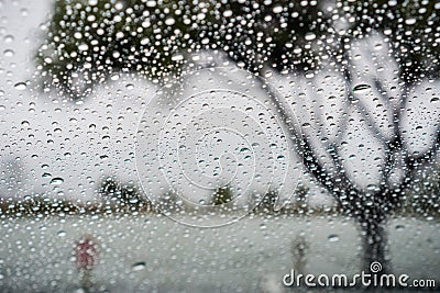 Raindrops on the window on a rainy day; tree on the shoreline of a lake in the background; California Stock Photo