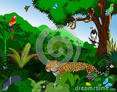 Rainforest with animals vector illustration. Vector Green Tropical Forest jungle with parrots, jaguar, tapir, harpy, monk Vector Illustration