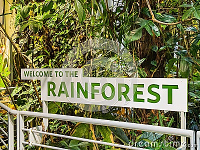 Rainforest of the California Academy of Sciences Editorial Stock Photo