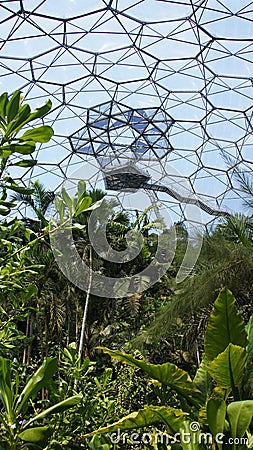 Rainforest of Eden Project in St. Austell Cornwall Stock Photo