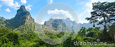 Rainforest of Khao Sok National Park Stock Photo