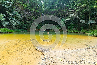 Rainforest natural pool and waterfall Stock Photo