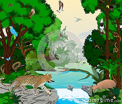 Rainforest river with animals vector illustration. Vector Green Tropical Forest jungle with parrots, jaguar, boa, peccary, Capyba Vector Illustration