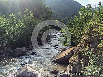 Rainforest river nature landscape. Beautiful and quiet place to relax. A pristine area of Northern Iran, Gilan Stock Photo