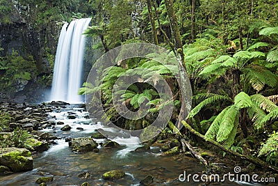 Rainforest waterfalls, Hopetoun Falls, Victoria, Australia Stock Photo