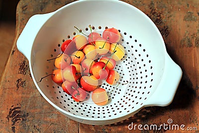 Rainier Cherries in White Colander. Stock Photo