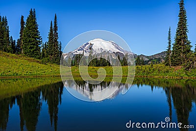 Rainier Views From Little Tipsoo Lake, Mt Rainier National Park, Washington Stock Photo