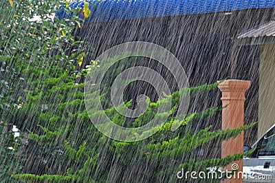 Raining heavily Stock Photo