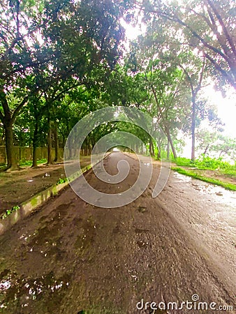 After rainning the wet road view. Stock Photo