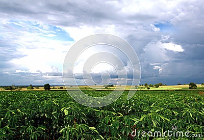 Rainy day Stock Photo