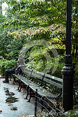 Rainy day in central park, New York, Man on wet bench looking far away Editorial Stock Photo